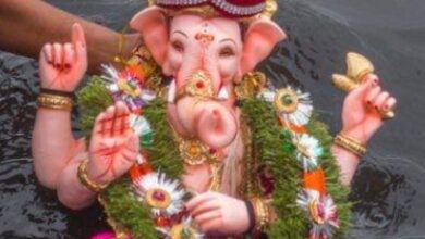 बाप्पाचे विसर्जन करायचे कसे पुणेकर संभ्रमात