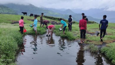 स्वराज्याचे शिलेदार प्रतिष्ठानकडून रसाळगडावर संवर्धनाचे काम सुरू