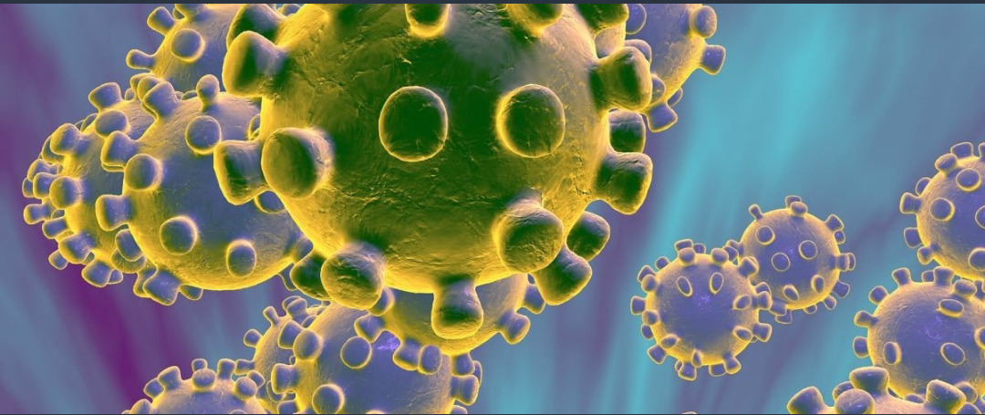 कोथरुड मधील पौड रस्ता परिसरात कोरोना रुग्णाचा घरीच मृत्यू ; धक्क्याने बेशुद्ध पडलेल्या पत्नीला हलवले नायडू हॉस्पिटलमध्ये.. कोथरुड मधील पौड रस्ता परिसरात कोरोना रुग्णाचा घरीच मृत्यू ; धक्क्याने बेशुद्ध पडलेल्या पत्नीला हलवले नायडू हॉस्पिटलमध्ये..