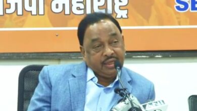 बेडूक नाही वाघ होतो. म्हणूनच शिवसेनेला सत्तेवर बसवले होते. - नारायण राणे