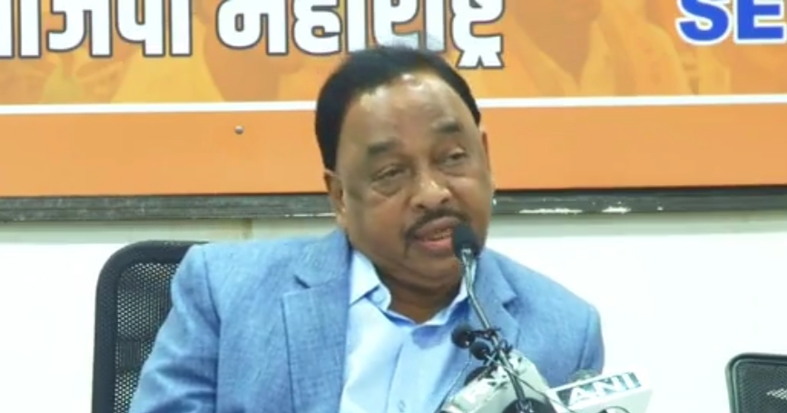 बेडूक नाही वाघ होतो. म्हणूनच शिवसेनेला सत्तेवर बसवले होते. - नारायण राणे