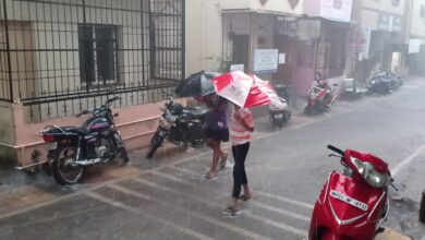 पुढील काही तासात मुसळधार पावसाची शक्यता