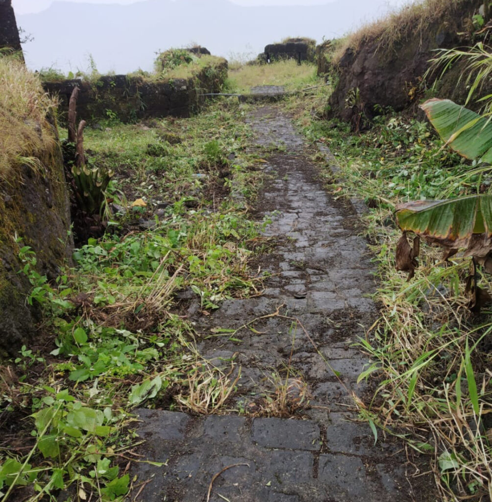 सिंहगडावरील खंद कडा भागात स्वराज्याच्या शिलेदारांनी केली स्वच्छता मोहीम Screenshot 2020 10 12 12 03 23 31