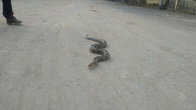 पुण्यात रात्री घराबाहेर पडताय? मग ही काळजी अवश्य घ्या…
