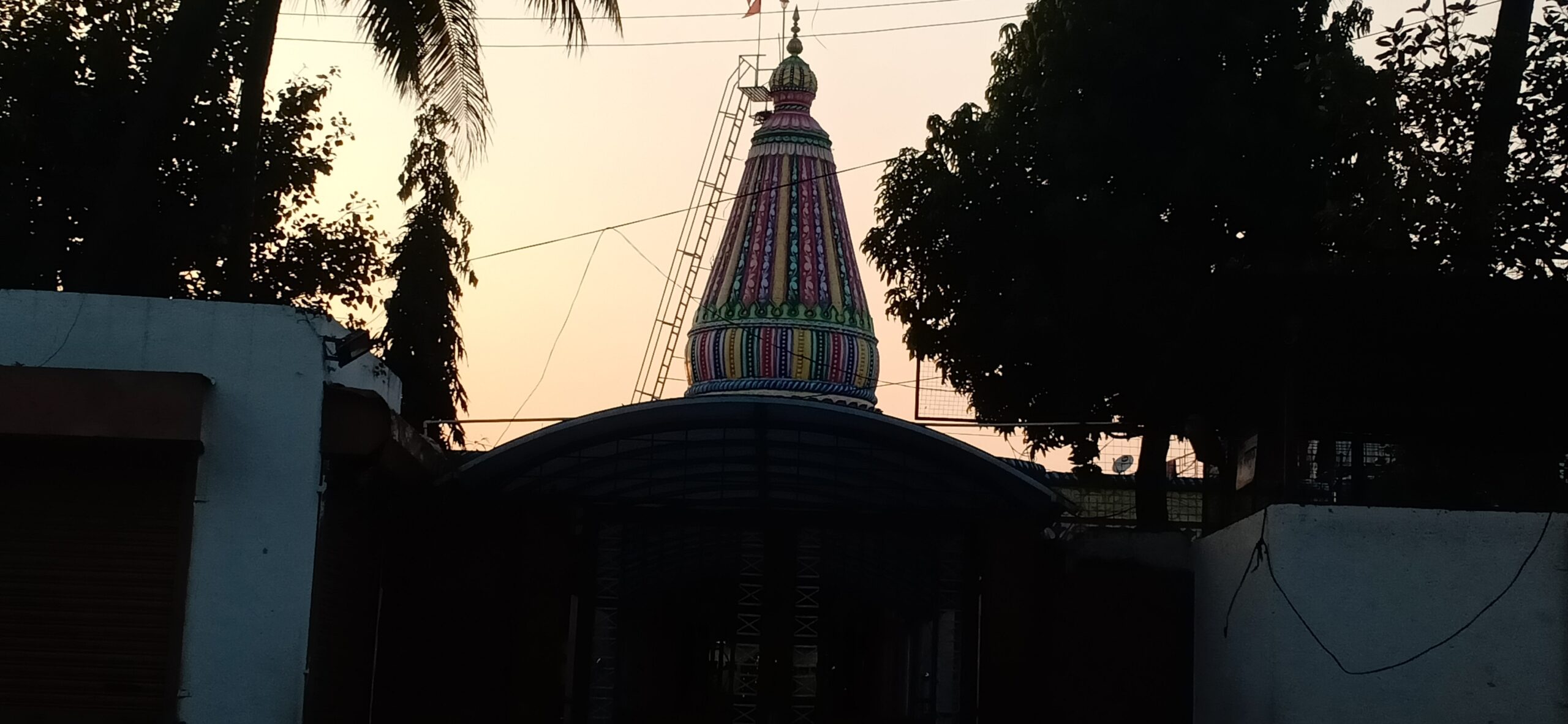 ‘ हरी ‘ ला का कोंडून ठेवता? मनसेचा सरकारला सवाल