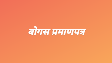 बोगस पदविका प्रमाणपत्राबाबत एमआयटीचा अभिमत विद्यापीठाचा दर्जा रद्द करावा : पळसकर