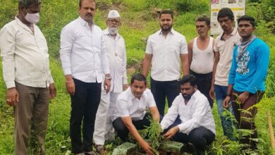 कर्वेनगर मधील वनदेवी टेकडीवर जागतिक पर्यावरण दिनानिमित्त वृक्षारोपण.  