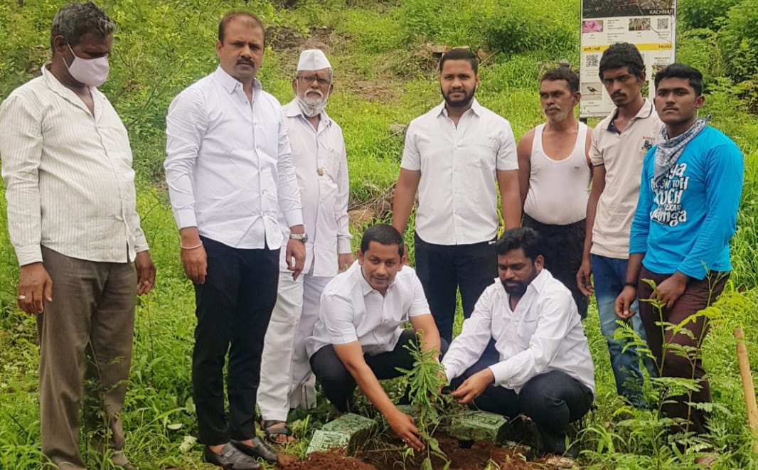 कर्वेनगर मधील वनदेवी टेकडीवर जागतिक पर्यावरण दिनानिमित्त वृक्षारोपण.  