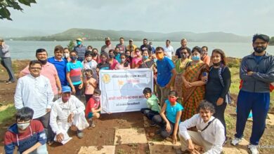 अखिल भारतीय ब्राह्मण महासंघाच्या पर्यावरण आघाडीच्या वतीने वृक्षारोपण…