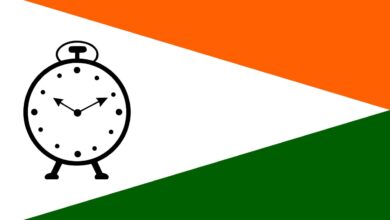 नगरसेवक दीपक मानकर, दिपाली धुमाळ, सचिन दोडके, दिलीप बराटे यांच्याकडे या समाविष्ट गावांची जबाबदारी