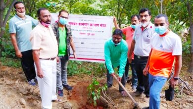 वाढदिवसानिमित्त प्रत्येकाने दरवर्षी एक झाड लावावे ; कवी राजेंद्र वाघ