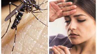 कोरोना सोबतच डेंग्यू मलेरिया बाबत जागृत राहणे गरजेचे : डॉ. दीपक पाटील