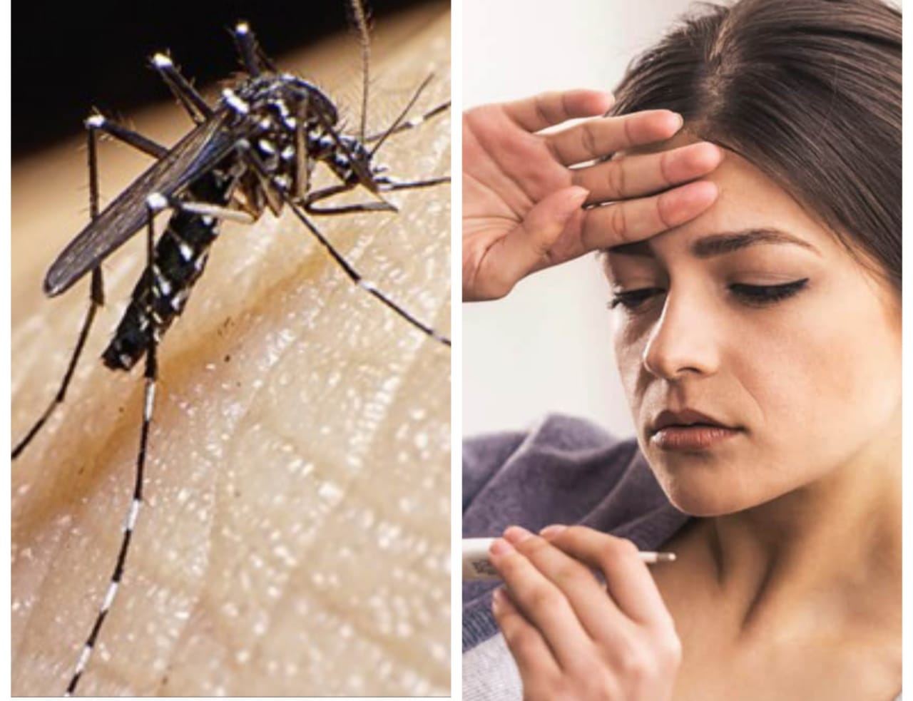 कोरोना सोबतच डेंग्यू मलेरिया बाबत जागृत राहणे गरजेचे : डॉ.दीपक पाटील कोरोना सोबतच डेंग्यू मलेरिया बाबत जागृत राहणे गरजेचे : डॉ. दीपक पाटील