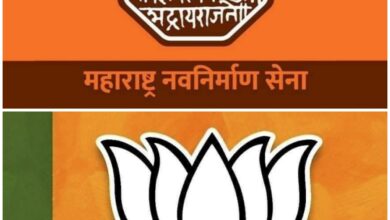 मनसेसोबत युतीसाठी केंद्राची परवानगी घ्यावी लागेल- चंद्रकांत पाटील