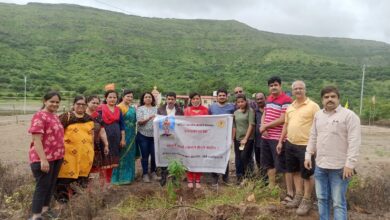 जागतिक मैत्री दिनी अखिल भारतीय ब्राह्मण महासंघ हडपसर शाखेने केली झाडांशी मैत्री