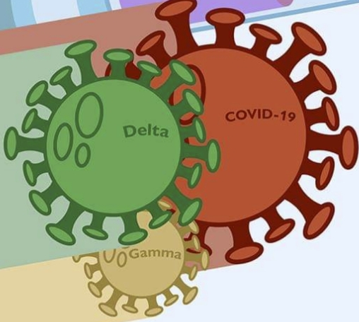 पुण्याला कोरोनाच्या नव्या विषाणूचा धोका प्रशासनाने सतर्क रहावे….