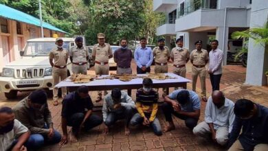 वाघाच्या कातडीची तस्करी करणारे ८ आरोपी ताब्यात ; पुणे वनविभागाची कारवाई