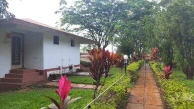 पर्यटकांसाठी आनंदाची बातमी ; हिवाळी हंगामासाठी एमटीडीसी सज्ज.. विशेष सवलती मिळणार