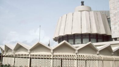 विधानभवनाबाहेर महिलेचा आत्मदहनाचा प्रयत्न