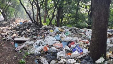 येरवड्यातील डॉ. सलीम अली पक्षी अभयारण्याबाबत अहवाल सादर करण्याच्या आदित्य ठाकरे यांच्या अधिकाऱ्यांना  सूचना…