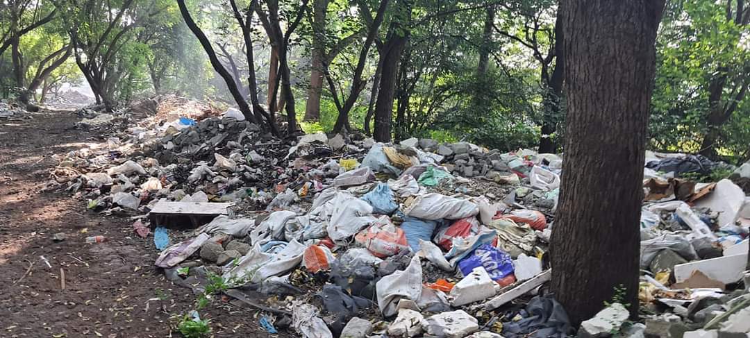 येरवड्यातील डॉ. सलीम अली पक्षी अभयारण्याबाबत अहवाल सादर करण्याच्या आदित्य ठाकरे यांच्या अधिकाऱ्यांना  सूचना…