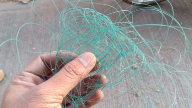 नागरिकांनो सावधान : कोथरुडमध्ये चिनी मांजा करू शकतो घात..