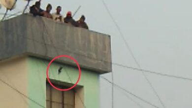 कोथरुडमध्ये ७० फुट उंचावर मांजाला अडकलेल्या कबुतराची मनपा कर्मचार्‍याने केली अशी सुटका…    