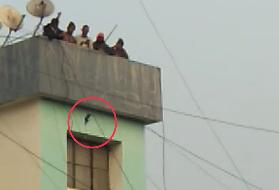 कोथरुडमध्ये ७० फुट उंचावर मांजाला अडकलेल्या कबुतराची मनपा कर्मचार्‍याने केली अशी सुटका…    