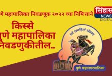 पुण्यात एका उमेदवाराने प्रचारासाठी आणला होता खराखुरा सिंह..