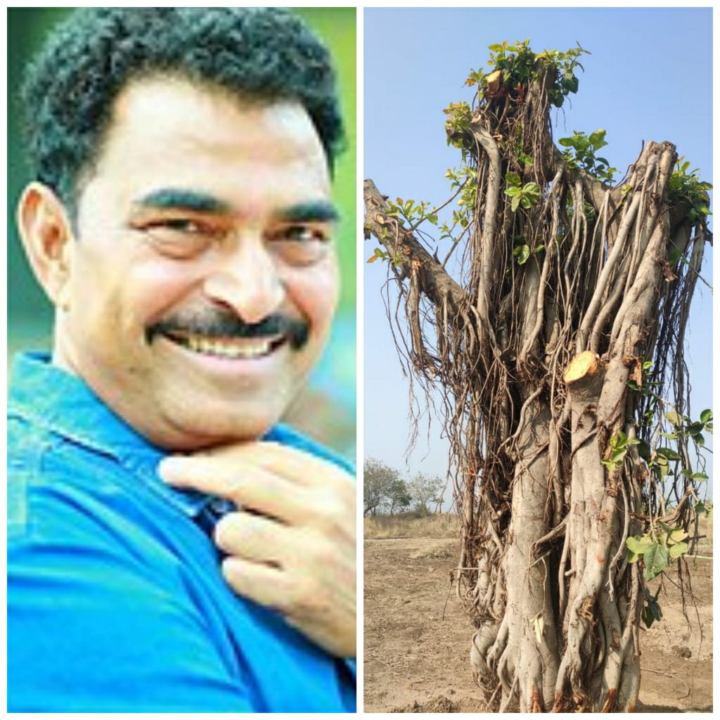 हडपसरच्या वडाला साताऱ्यात पुनर्रोपणाद्वारे जीवदान ! सयाजी शिंदे यांच्या सहयाद्री देवराई ‘ चा १४ रोजी वडासोबत व्हॅलेंटाईन डे साजरा करणार हडपसरच्या वडाला साताऱ्यात पुनर्रोपणाद्वारे जीवदान! सयाजी शिंदे यांच्या सहयाद्री देवराई ‘ चा १४ रोजी वडासोबत व्हॅलेंटाईन डे साजरा करणार