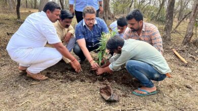 शिवजयंतीनिमित्त एआरएआय टेकडीवर वृक्षांचे रोपण
