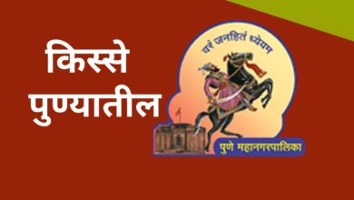 भाजपच्या बालेकिल्ल्यातील मंत्री बंधू