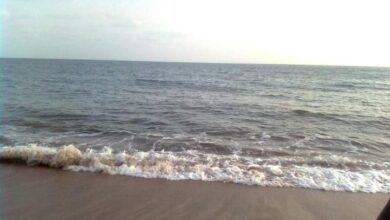 केळवे समुद्रकिनारी सहा मुलं बुडाली; 4 जणांचा मृत्यू