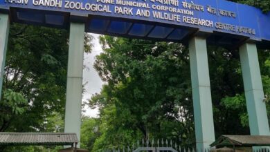 पुण्यातील राजीव गांधी प्राणी संग्रहालय अखेर पर्यटकांसाठी उद्यापासून सुरू होणार..