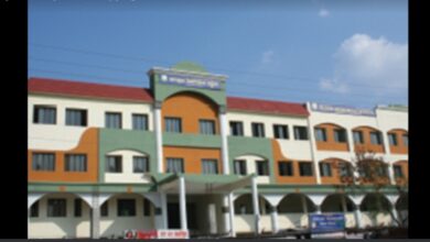 Pune : बिबवेवाडीतील इंग्रजी शाळेमध्ये महिला बाऊन्सरकडून पालकांना मारहाण