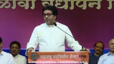 राजकीय पक्ष जातीमध्ये गुंतवतात, राज्यपालांची वक्तव्येही निषेधार्थ : राज ठाकरे