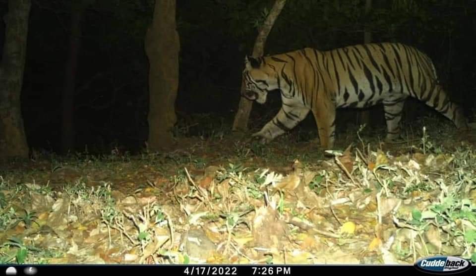 Fb img 16507748271966616572317715896316