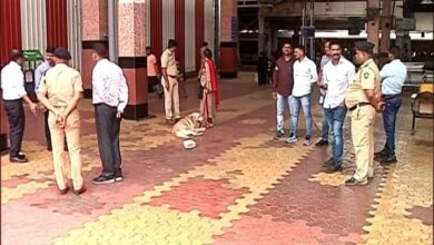 पुणे स्टेशनवर बॉम्ब नव्हे; फटाक्याच्या पुंगळ्या