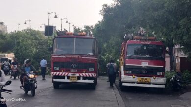 कर्वेनगरमध्ये मुख्य रस्त्यावर झाडाची मोठी फांदी कोसळली आणि..