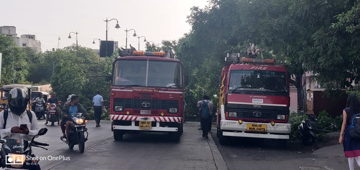 कर्वेनगरमध्ये मुख्य रस्त्यावर झाडाची मोठी फांदी कोसळली आणि.. कर्वेनगरमध्ये मुख्य रस्त्यावर झाडाची मोठी फांदी कोसळली आणि..