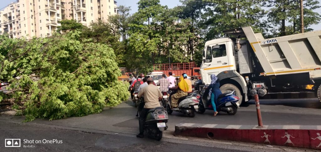 कर्वेनगरमध्ये मुख्य रस्त्यावर झाडाची मोठी फांदी कोसळली आणि.. Img 20220531 wa0037