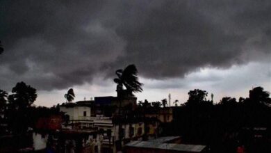 Mansoon : या तारखेला महाराष्ट्रात येणार मान्सून; हवामान विभागाने सांगितली ही तारीख