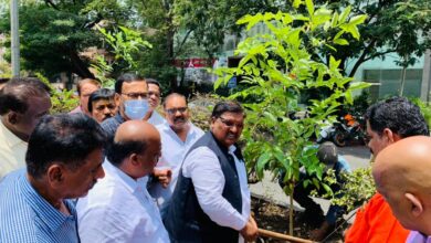 सृष्टी फाउंडेशनच्या वतीने जागतिक पर्यावरण दिनानिमित्त वृक्षारोपण..