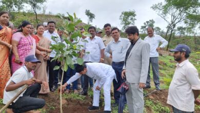 अजित पवार यांच्या वाढदिवसानिमित्त वारजेत वृक्षारोपण..