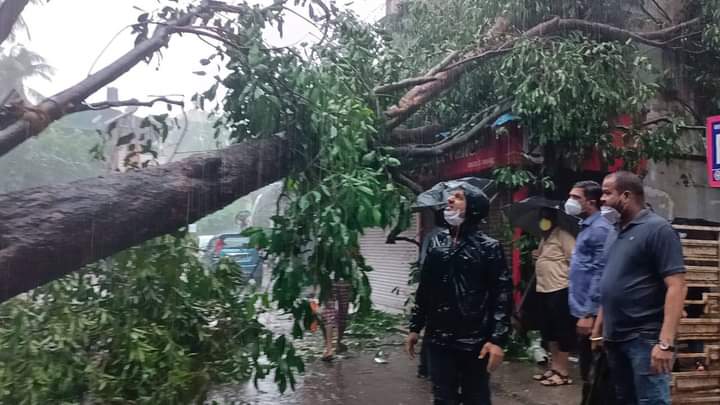 भरधाव दुचाकीवर झाड कोसळून दोघांचा मृत्यू भरधाव दुचाकीवर झाड कोसळून दोघांचा मृत्यू
