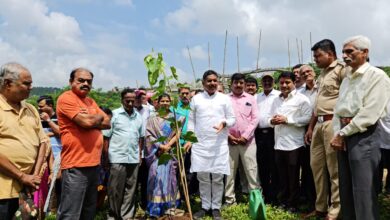 वारजेत सुधीर मुनगंटीवार यांच्या वाढदिवसानिमित्त वृक्षारोपण