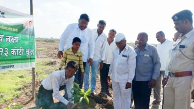 ५० हजार वृक्षांना पालकत्व देऊन ‘वृक्ष चळवळ’ निर्माण करणारा अवलिया…!