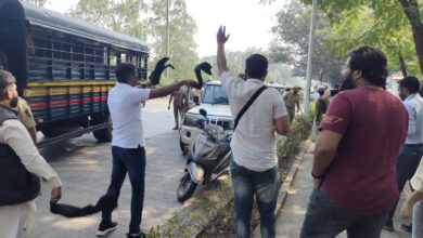 पुण्यात राष्ट्रवादी काँग्रेसकडून राज्यपालांना काळे झेंडे दाखवून निषेध