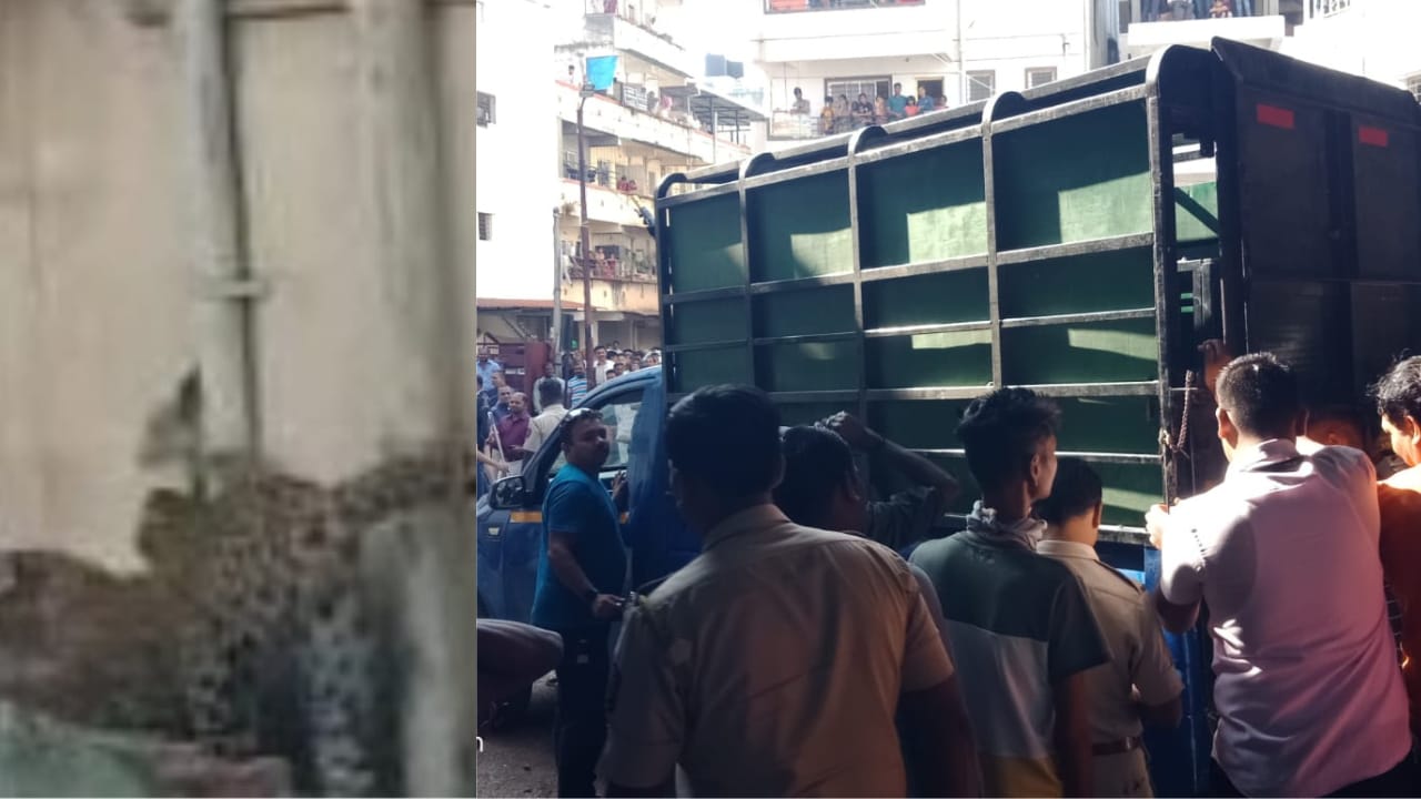 वारजे माळवाडीतील बिबट्या जेरबंद : वन विभागाच्या रेस्क्यू टीमला यश