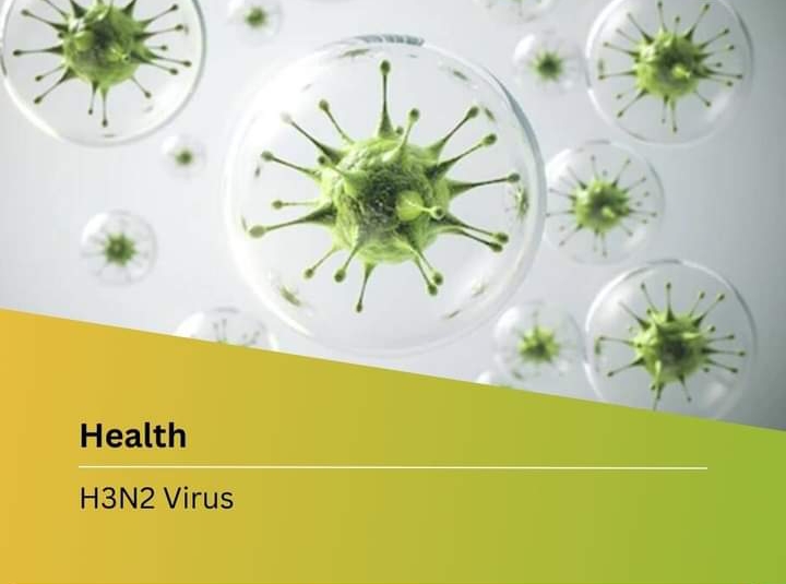 पिंपरी- चिंचवडमध्ये एच ३ एन २ बाधित व्यक्तीचा मृत्यू